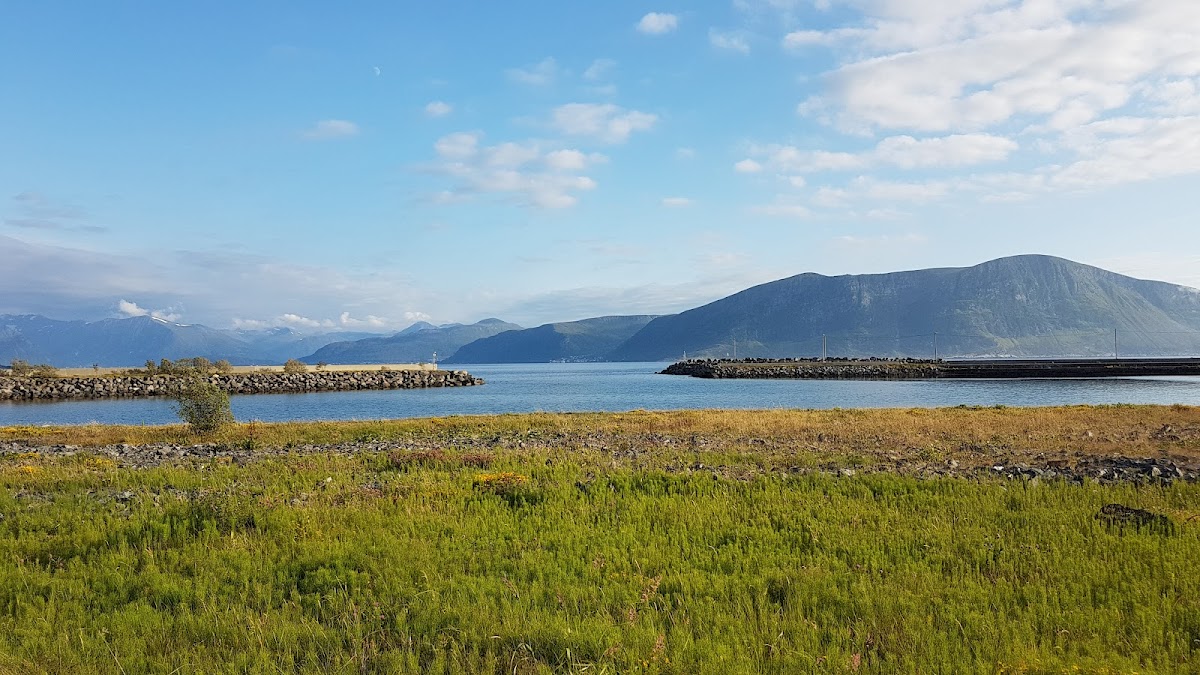 Geilevika