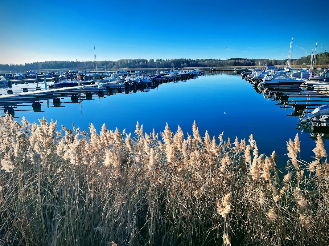 Bergelä
