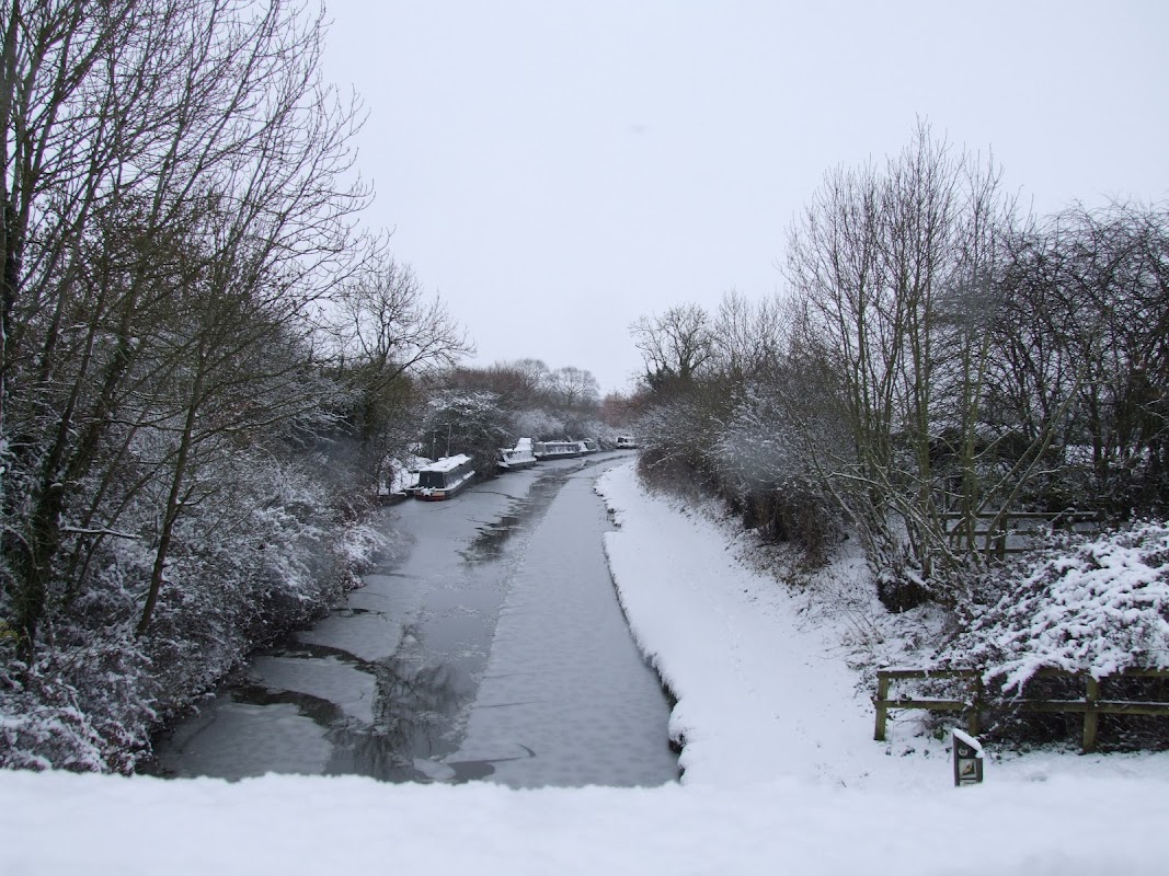 Lime Kiln Basin
