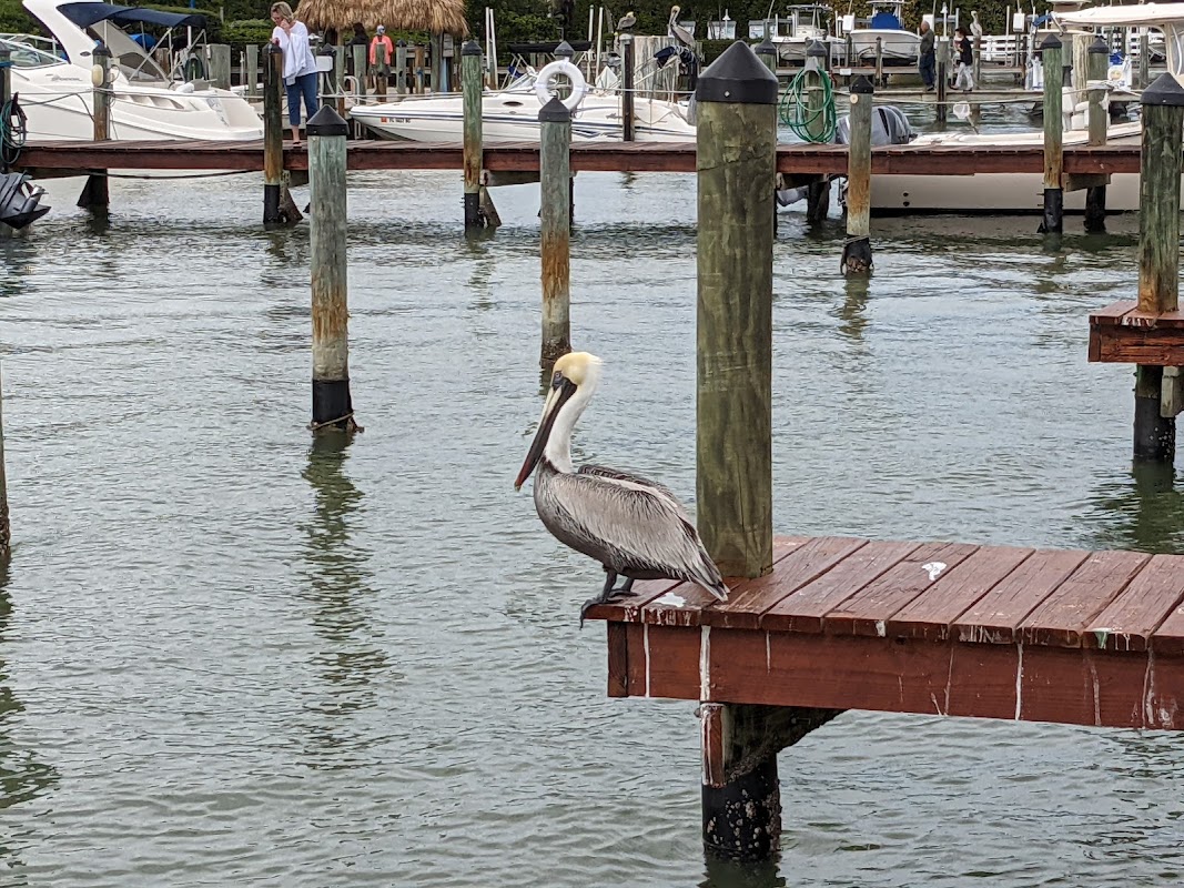 Captiva Landing Marina
