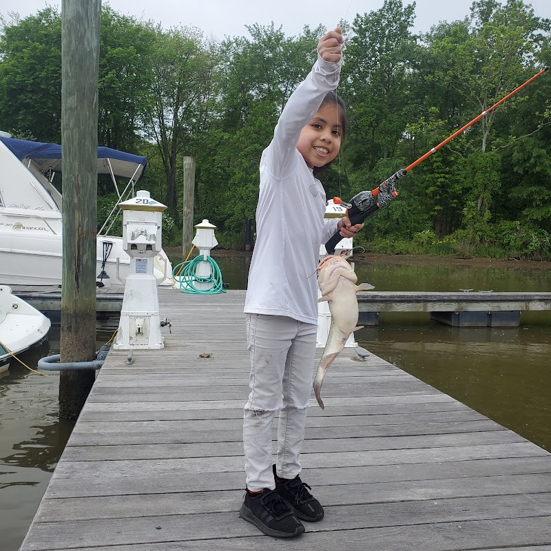 Fort Belvoir Marina