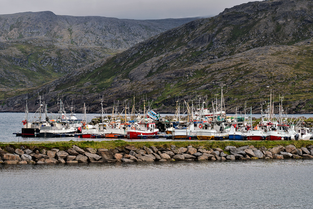 Skarsvåg