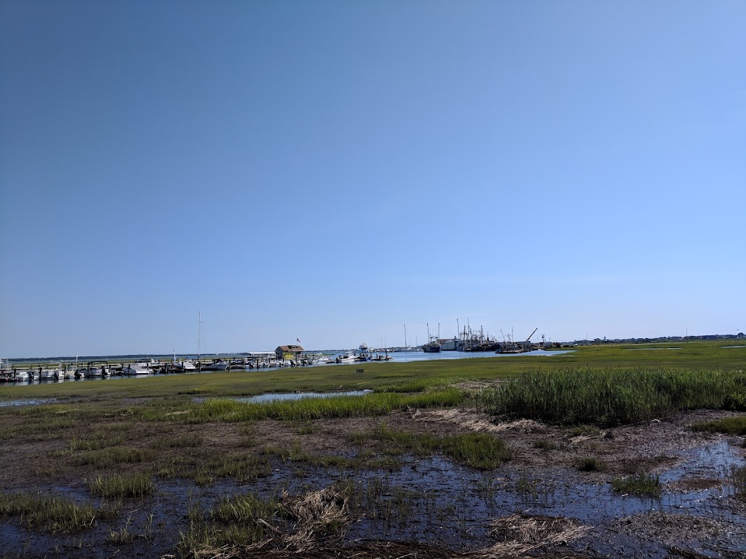 Cape May Inlet Marina