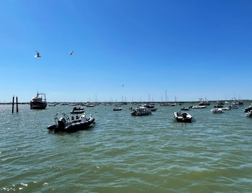 Pyefleet Marina Mersea