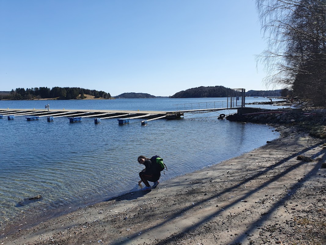Melsom båthavn