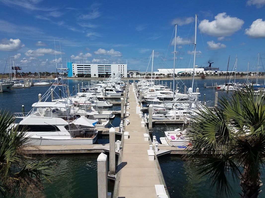Ocean Club Marina at Port Canaveral