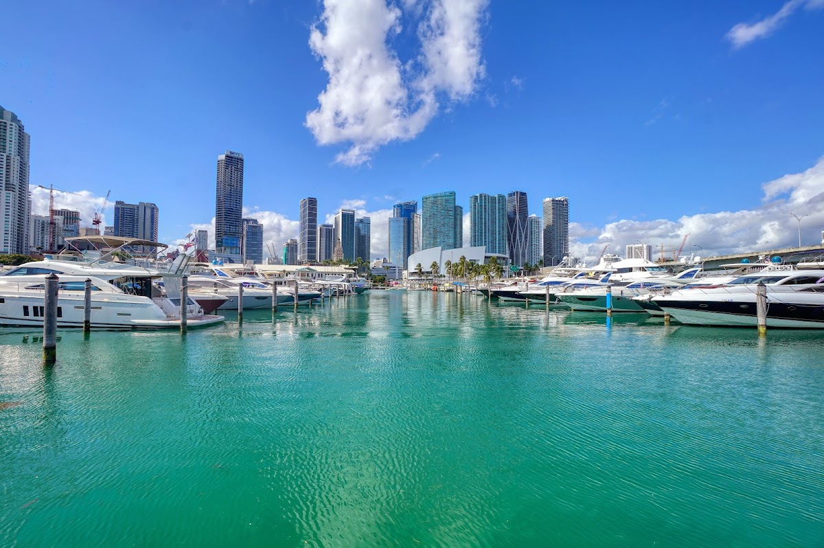 The Marina