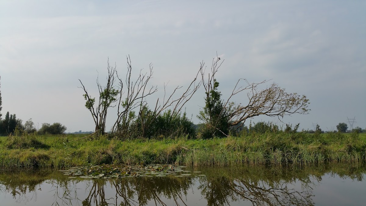Jachthaven Meermolen