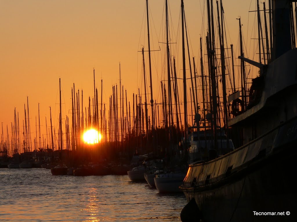 Fiumicino Tecnomar Marina