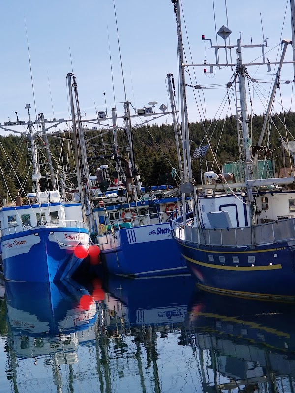 Admiral's Marina
