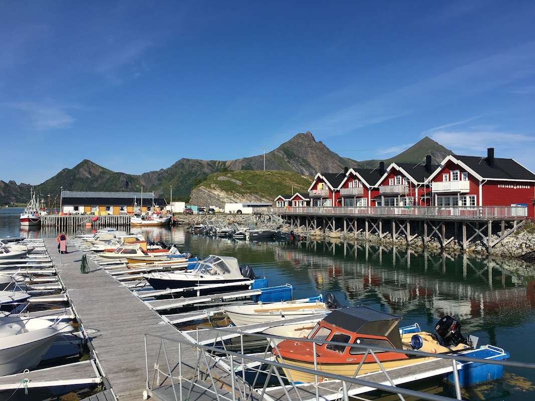 Rosanes marina
