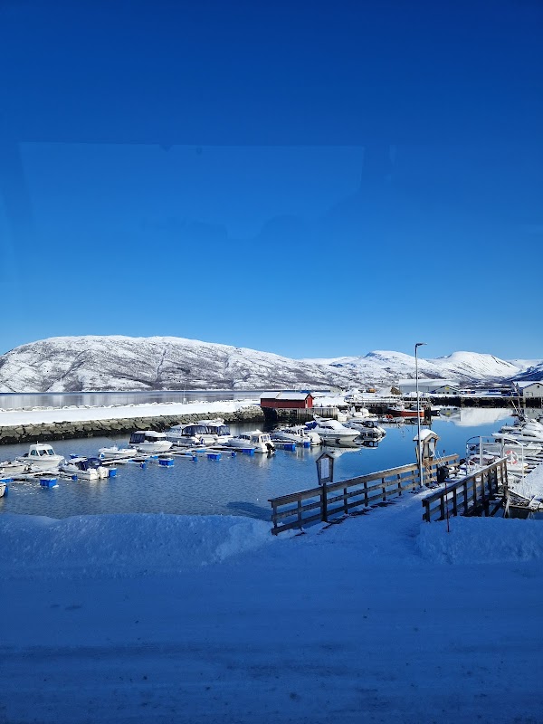 Sør Arnøy Småbåt havn