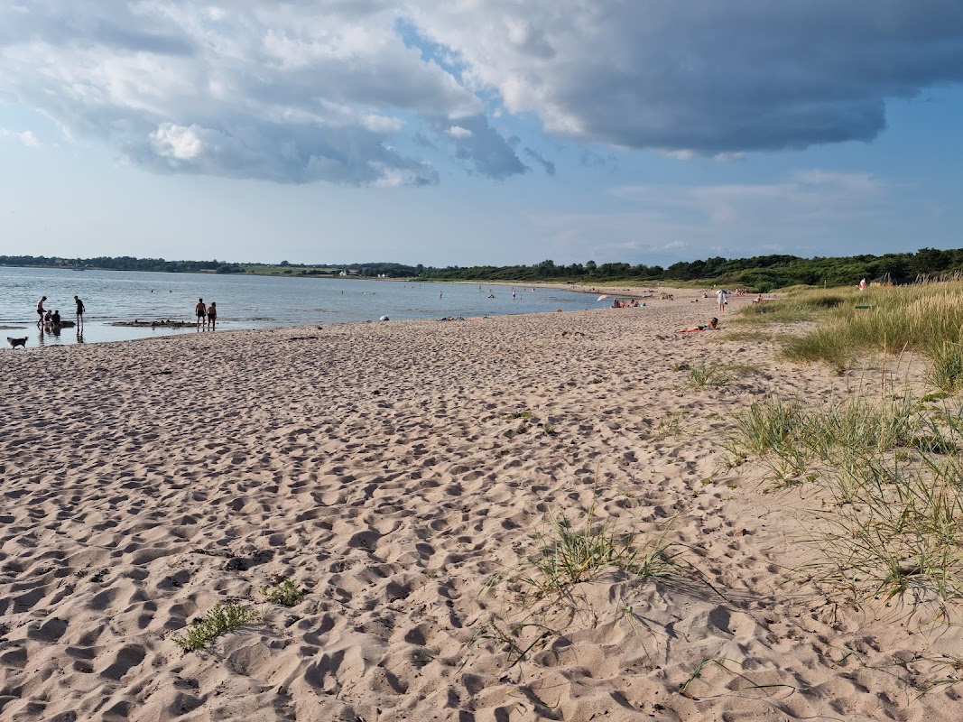 Svanshalls Hamn