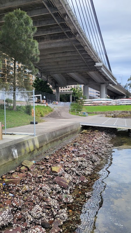 Blackwattle Bay Marine