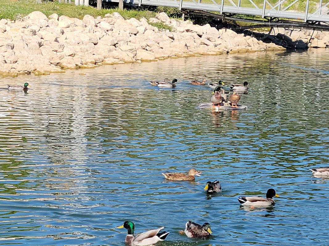 Lynn Creek Marina