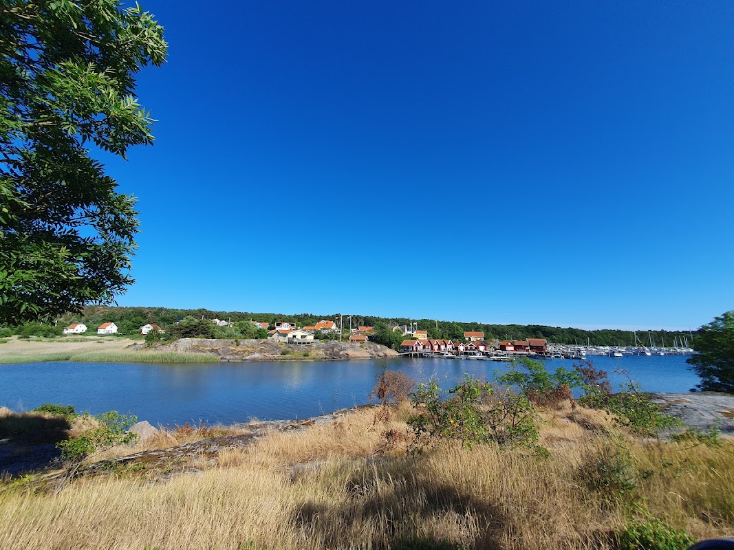 Långtjärna