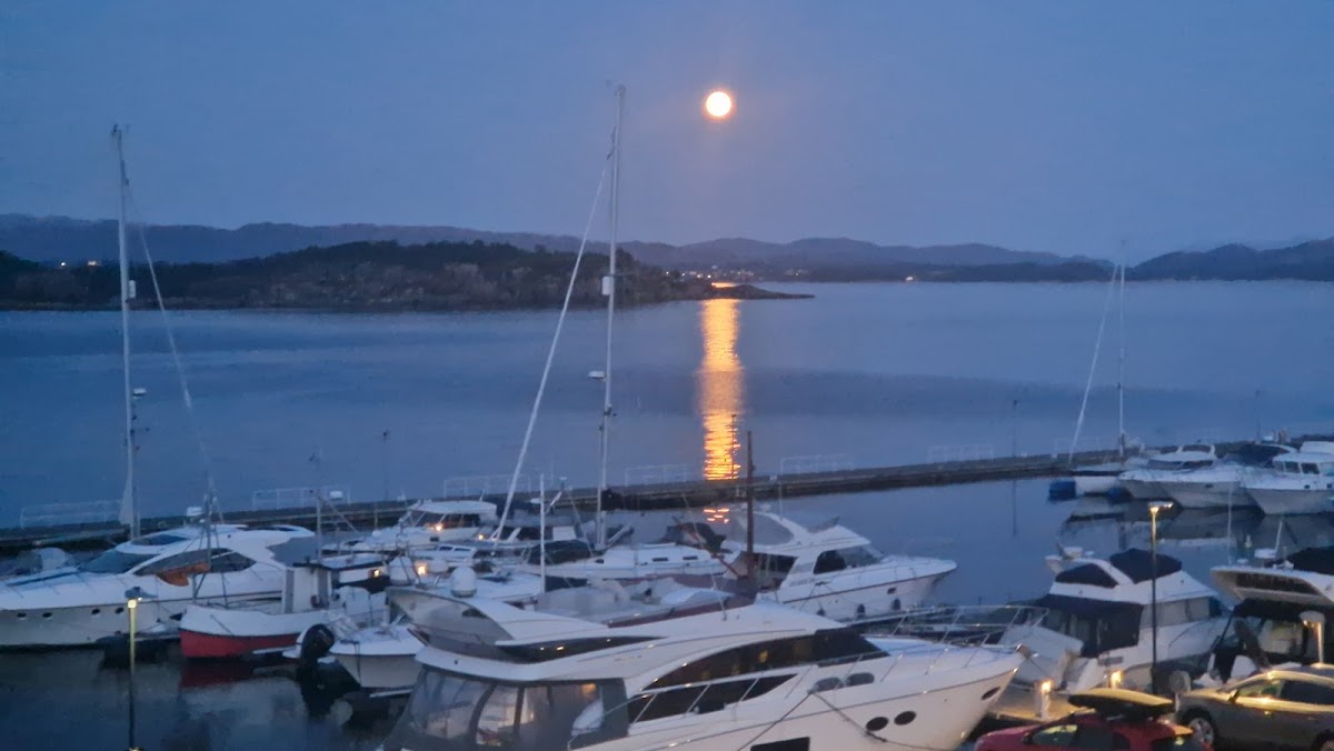 Liaskjeret båthamn
