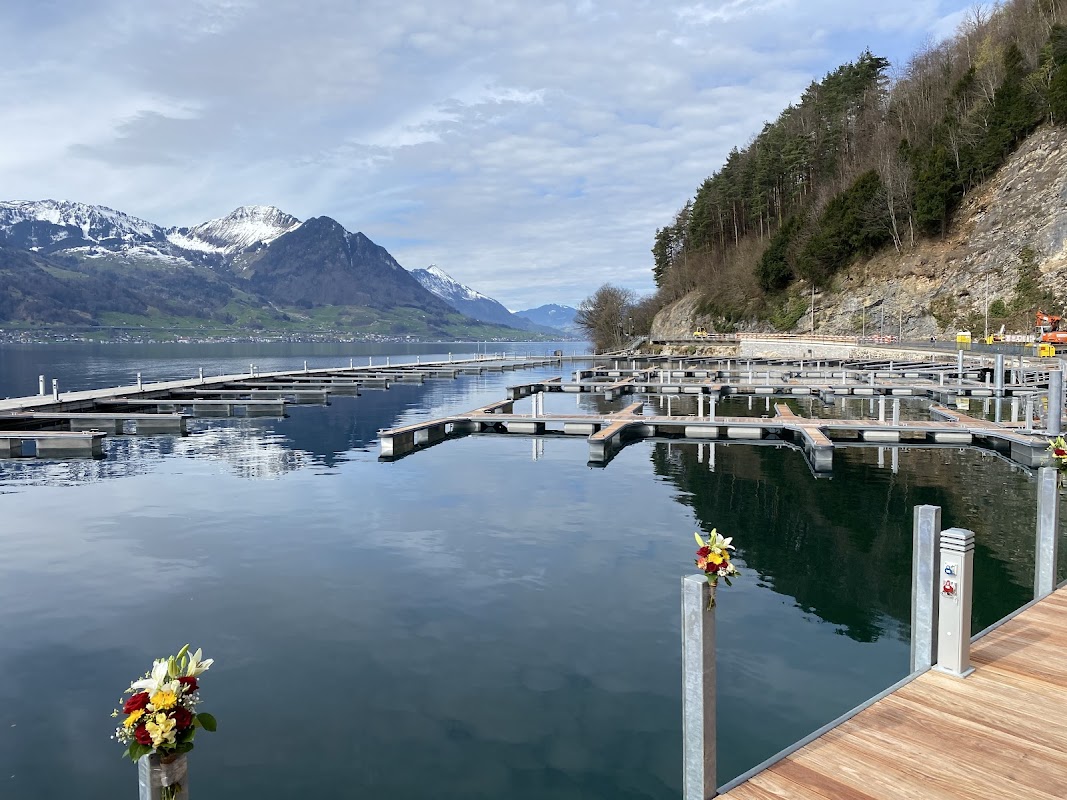 Hafen Felsenegg Gersau