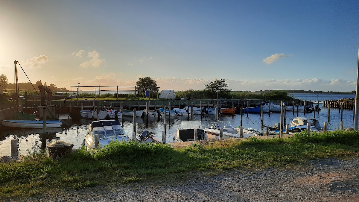 Strandbyen havn