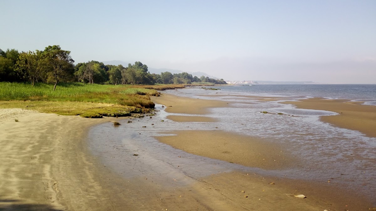 Marina de Caminha