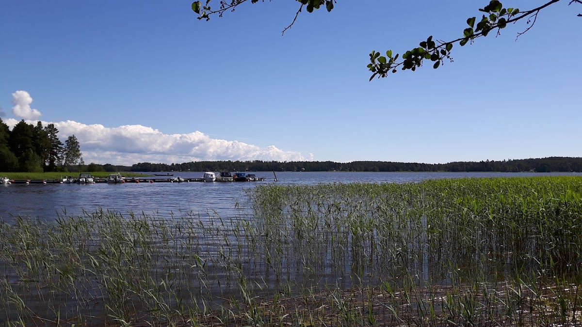 Haikkoon venesatama