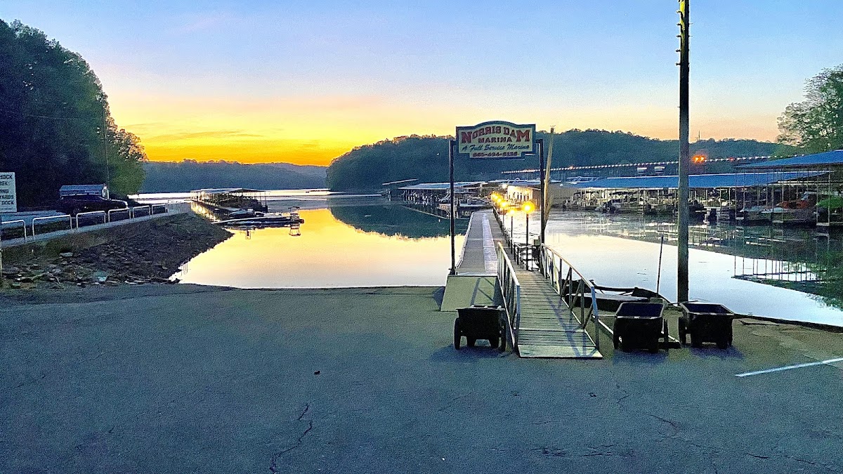 Norris Lake Marina Tennessee