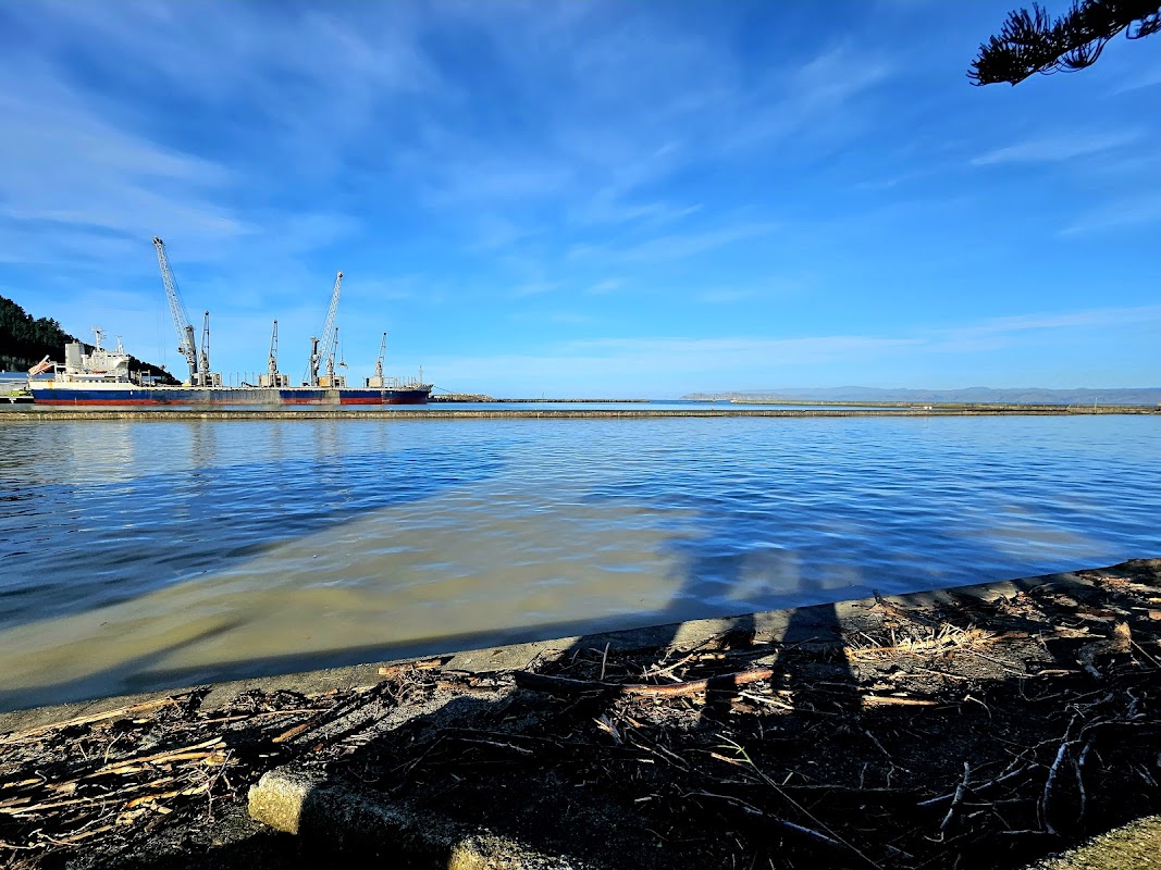 Gisborne Marina