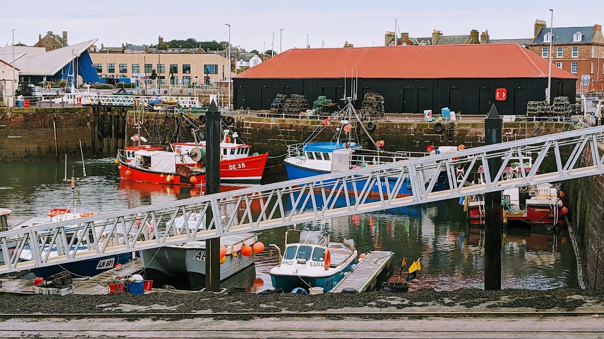 Auchmithie Harbour