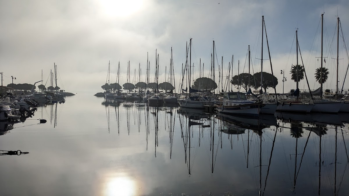 Port Albert Samson