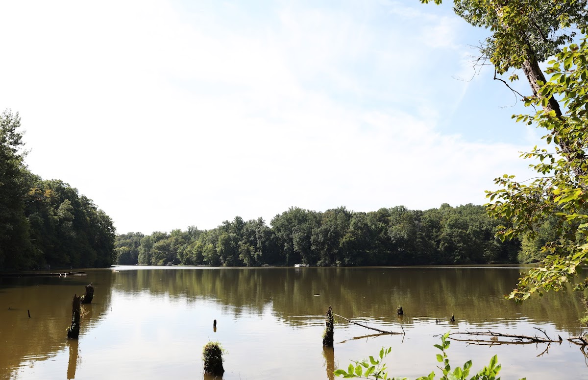 Bull Run Marina