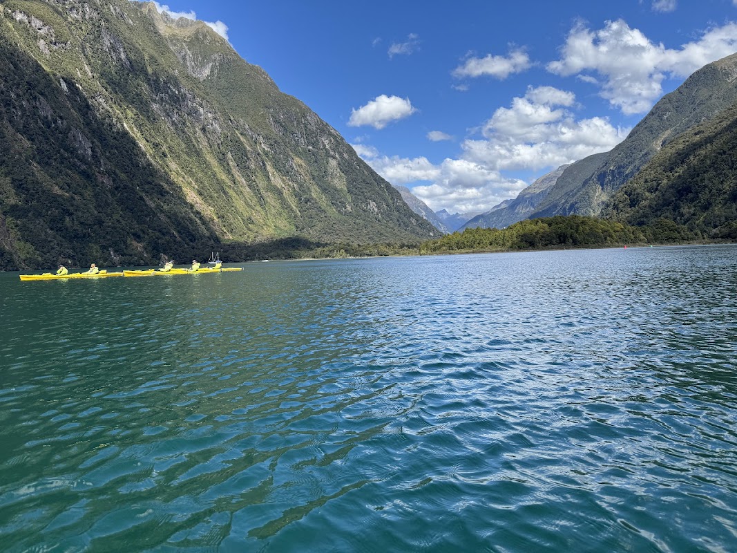 Milford Sound Marina NZ