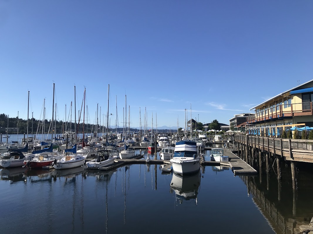 Fiddlehead Marina