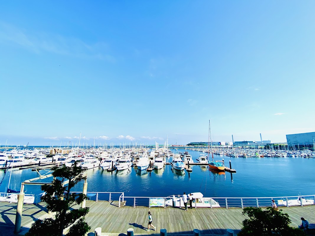 横浜港