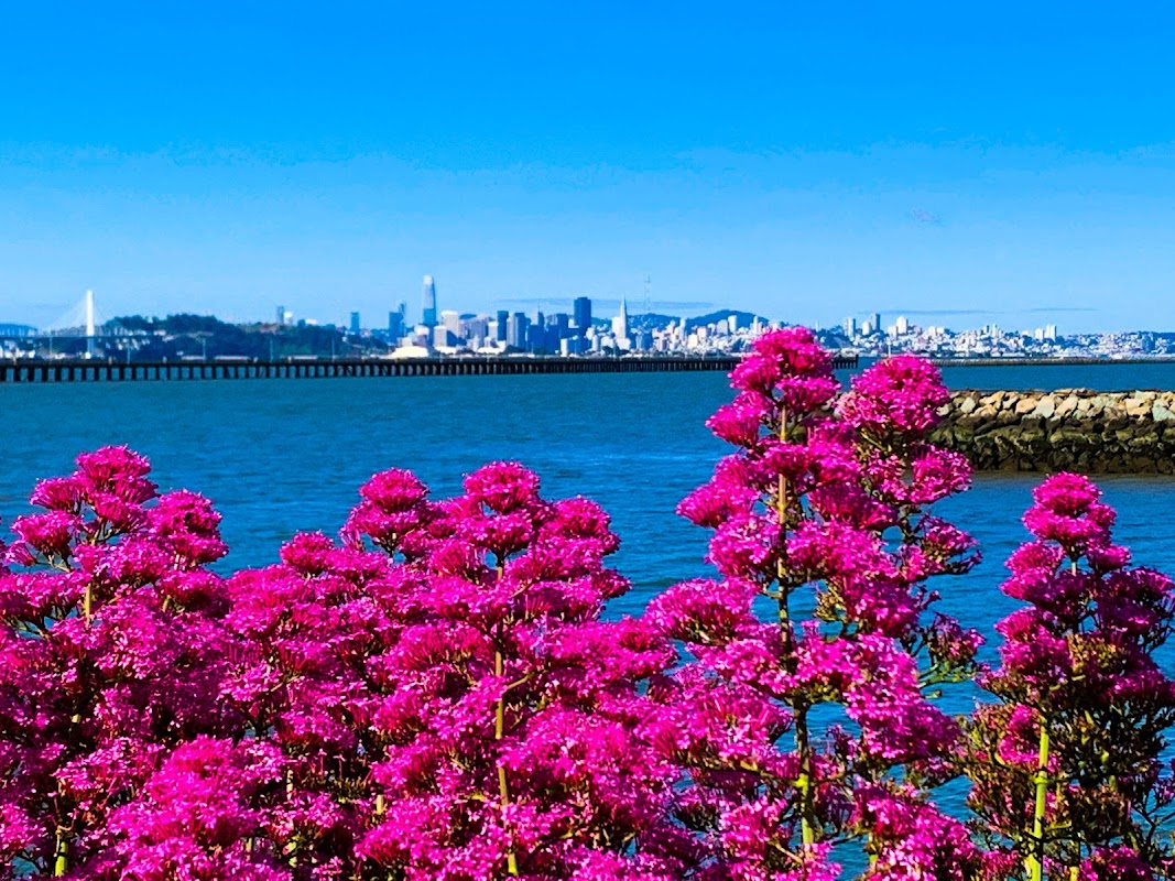 Berkeley Marina