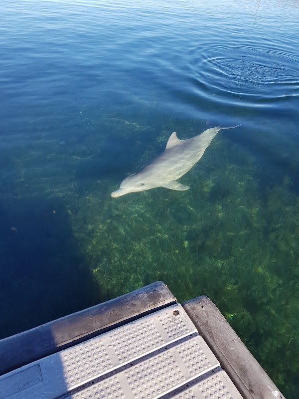 Whyalla Marina