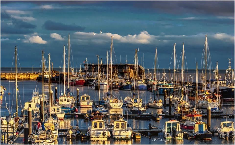 Bridlington Harbour 2