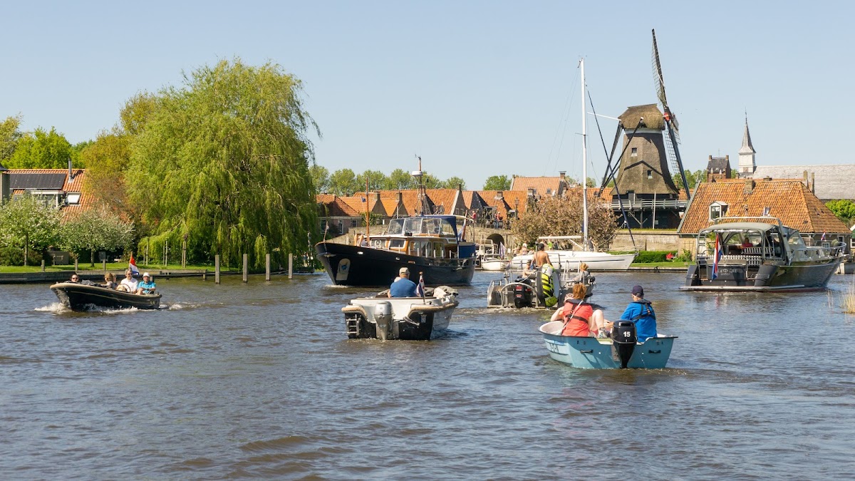 De Dolfijn