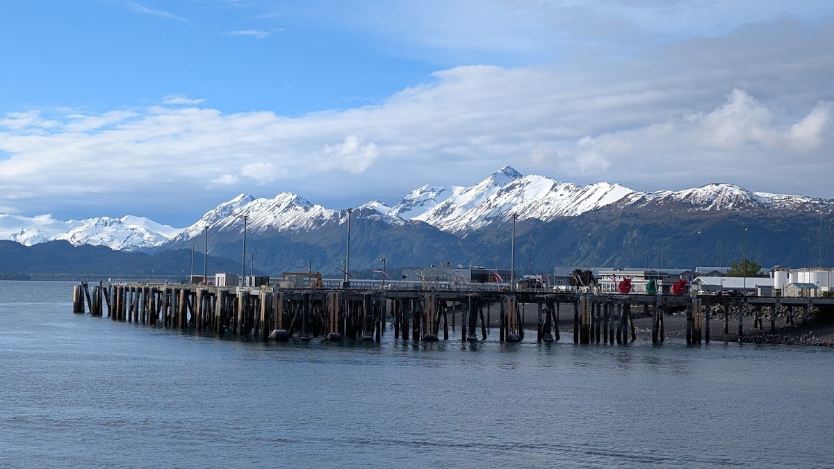 Homer Small Boat Harbor