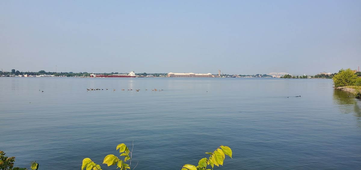 Bellevue Marina