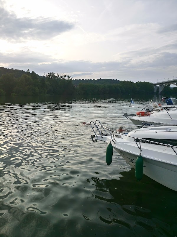 Marina Veitshöchheim e.V.