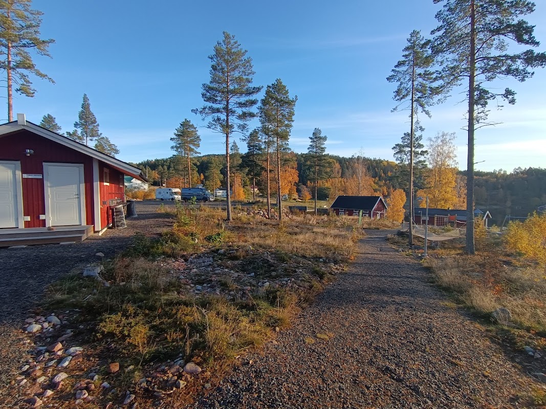 Måviken