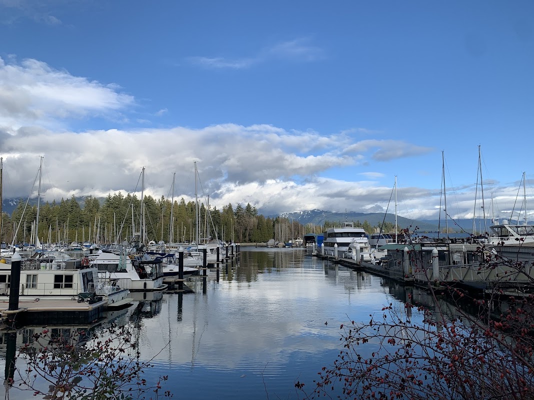 Bayshore West Marina
