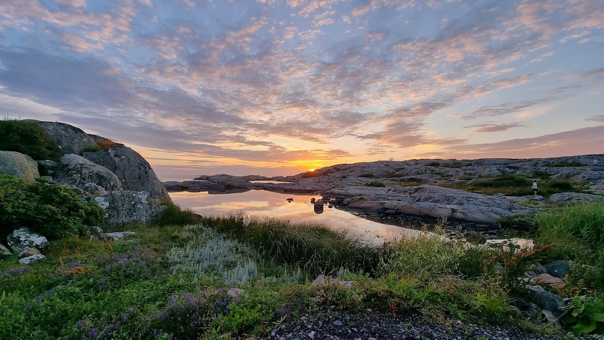 Fotholmsviken