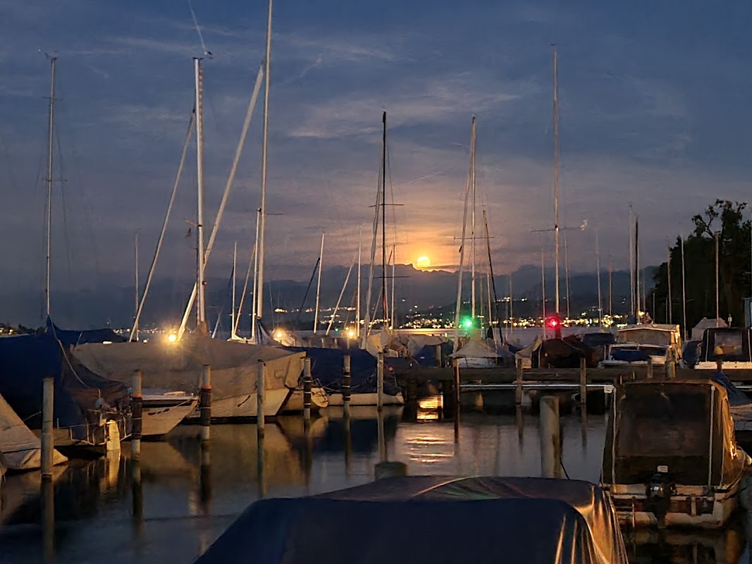 Thalwil Bürger