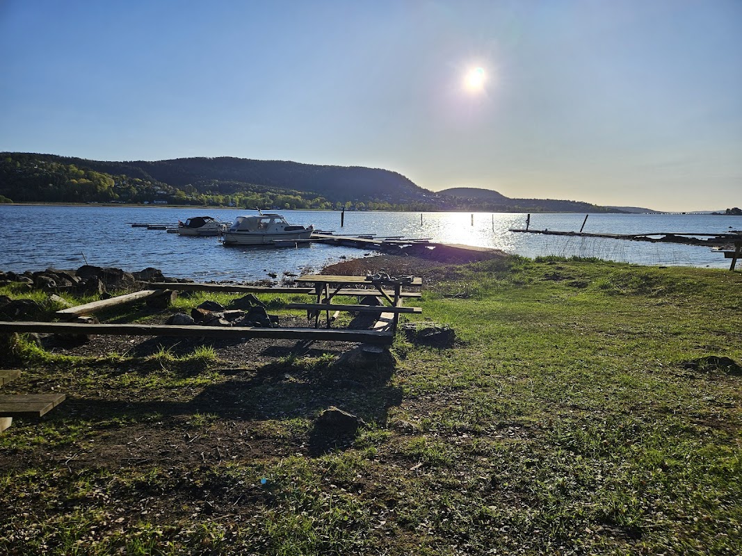 Grisebukta