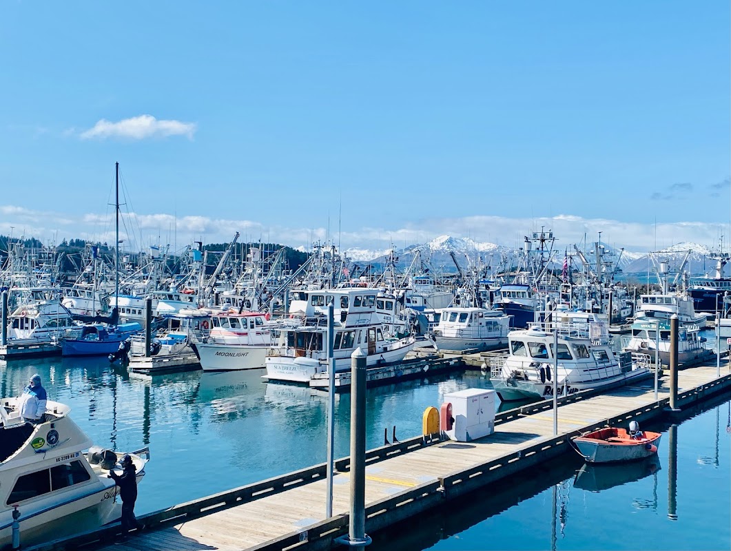 Kodiak Marina Alaska