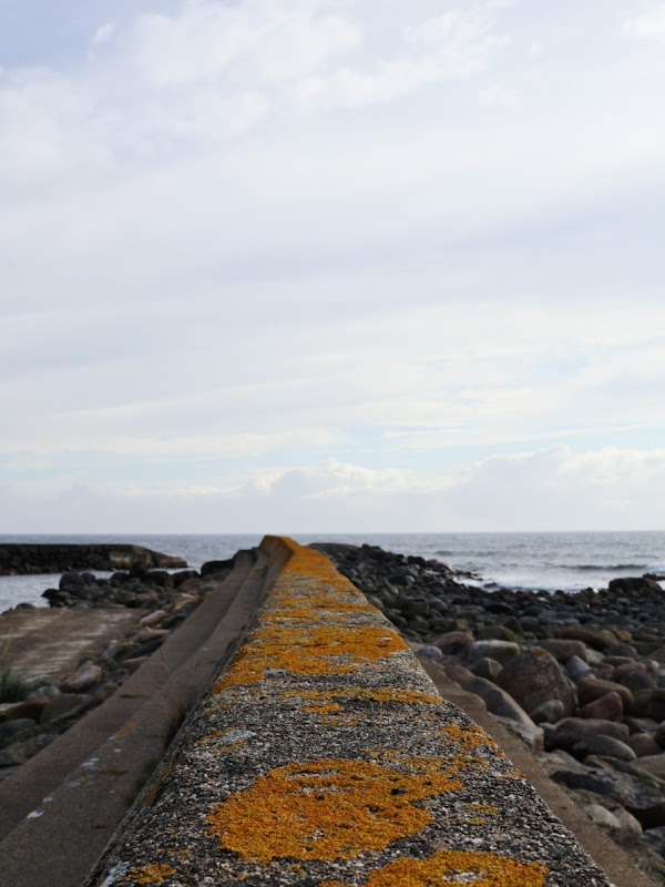 Madland havn