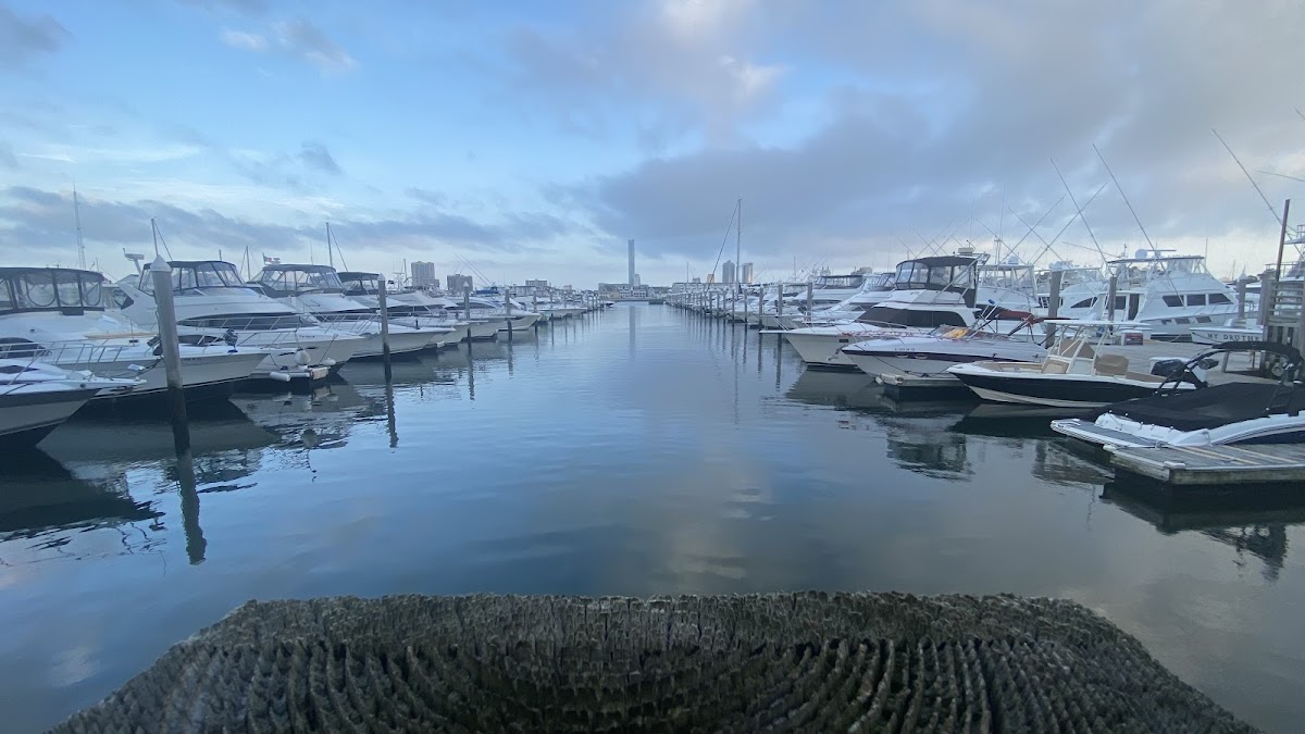 Atlantic City Marina