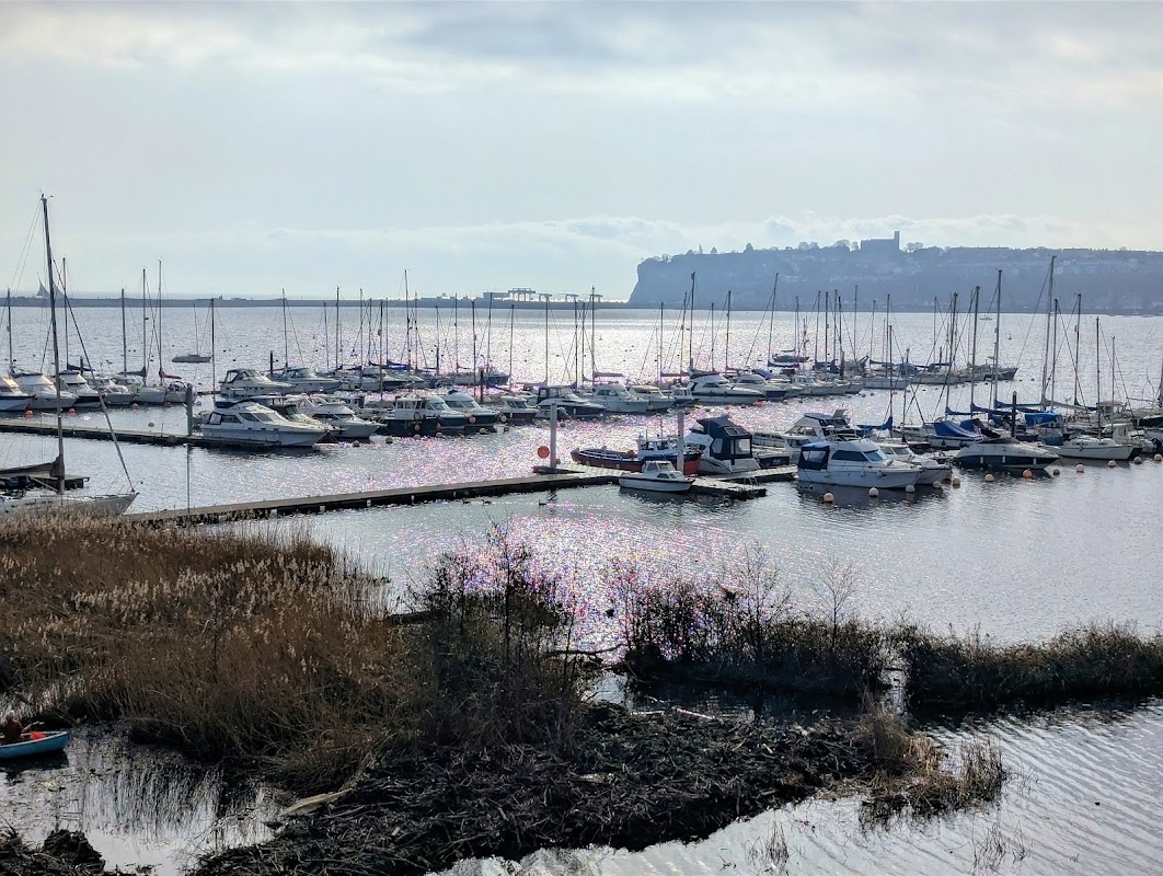 Cardiff Yacht Club