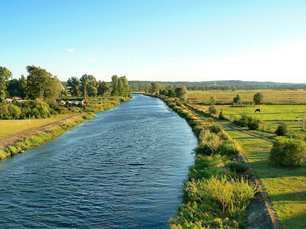 Marina Czarnków